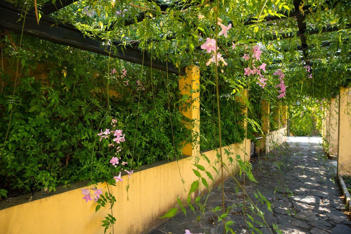 Bellasombra Suites Las Palmas de Gran Canaria Ngoại thất bức ảnh